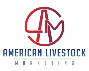 American Livestock Marketing